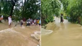 ভারি বৃষ্টিপাত ও পাহাঢ়ি ঢলে কানাইঘাটের বিভিন্ন এলাকা তলিয়ে গেছে