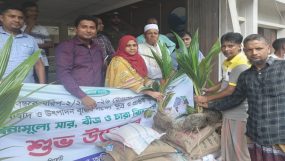 কানাইঘাটে বিনামূল্যে কৃষকদের মাঝে বীজ, সার ও নারিকেল চারা বিতরণ