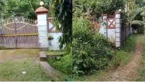 কানাইঘাটে বাড়িতে ঢুকে প্রবাসীর বৃদ্ধা মাকে প্রাণনাশের হুমকি || থানায় অভিযোগ দায়ের
