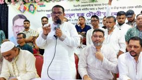 দেশের রাজনৈতিক স্থিতিশীলতার জন্য দ্রুত জাতীয় নির্বাচন প্রয়োজন : ড. এনামুল হক চৌধুরী