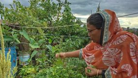 নুরজাহান পারভীন চৌধুরীর ভালোবাসার একটুকরো সবুজ ছাদবাগান || তাসলিমা খানম বীথি