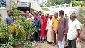 গোয়াইনঘাট প্রবাসী সমাজকল্যাণ পরিষদের বৃক্ষরোপণ কর্মসূচির উদ্বোধন