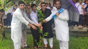 রাজা গিরিশচন্দ্র স্কুল অ্যান্ড কলেজে বৃক্ষরোপণ কর্মসূচির উদ্বোধন করলেন মিফতাহ্ সিদ্দিকী