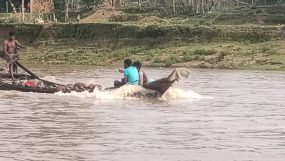 লোভাছড়ার জব্দকৃত পাথর চুরির হিড়িক! বেপরোয়া জকিগঞ্জের আটগ্রামের অবৈধ ক্রাশার জোন চক্র