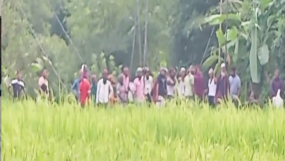 কানাইঘাটে আধিপত্য বিস্তার নিয়ে দু’পক্ষের ভয়াবহ সংঘর্ষ! অর্ধশতাধিক আহত